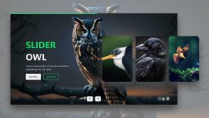 مزایا استفاده از تکنیک سینماگراف در طراحی سایت